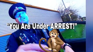 ARRESTED FOR SAYING "MONKEY" ?? I've Just Been ASSAULTED!!