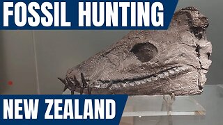 Fossil Hunting in New Zealand with Dr Nic Rawlence [where to find fossils and the ethics]