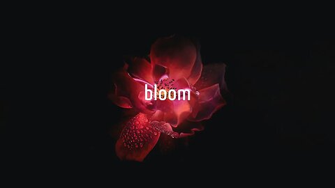 [FREE] Bloom - Piano Type Beat | 2023 Instrumental