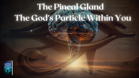 The Pineal Gland: God's Particle Within You