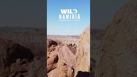Join us as we explore the hidden corners of Namibia's wilderness and reveal its beauty to the world.