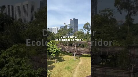 A beautiful footbridge at the park