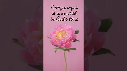 EVERY FLOWER EVERY PRAYER