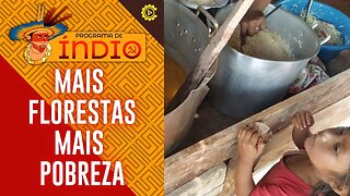 Mais florestas, mais pobreza - Programa de Índio nº 112 - 30/01/2023