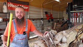 This Is Not What You Want To Find Inside A Log At The Sawmill,