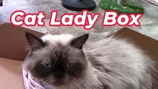 Cat Lady Box Unboxing (Must Love Cats) February 2023 😻