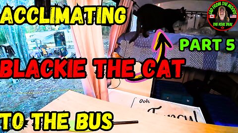 04-16 -24 | Acclimating Blackie The Cat To The Bus And A Sound System | Part 5