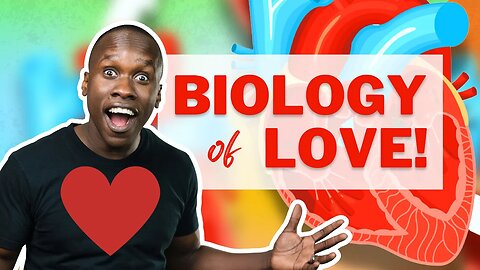 The Biology of Love - How Love Actually Works