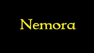 An Understanding | Nemora Chapter 1 Part 2