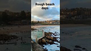 Sydney rough beach day #shorts #short #australia #travel #views #sydney #free #beach #waves #sand