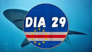 DIA 29 1/2