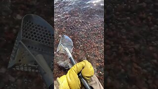 The art of agate hunting in Lake Superior // wading for rocks