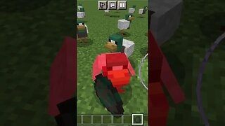 Ducks In Minecraft! #shorts