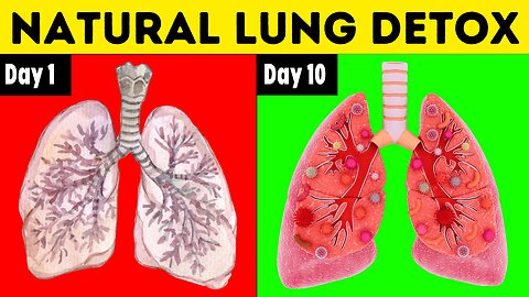 Detoxify Your Lungs Naturally With These Daily Habits