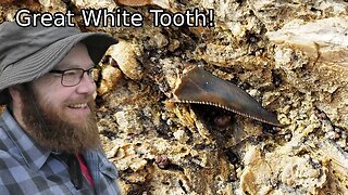 I found a fossilized great white shark tooth [plus a mystery bone]