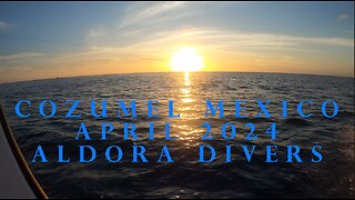 Cozumel Mexico April 2024 Aldora Divers night dive