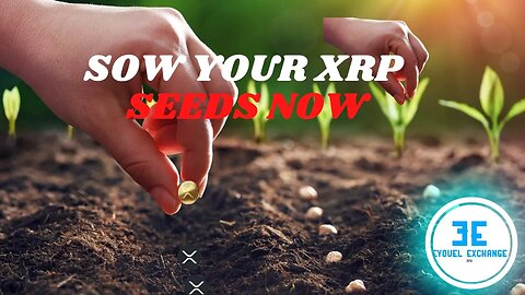 RIPPLE XRP: Sow Your Seeds into XRP, The Future of Cryptocurrency Investing