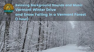 Background Sounds and Music Vermont Winter Drive and Woods Snowfall HD