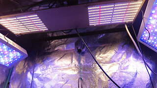 Grow Tent Algae Mitigation Update