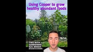 Electroculture-Using Copper to grow healthy abundant foods