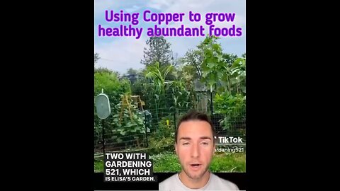 Electroculture-Using Copper to grow healthy abundant foods