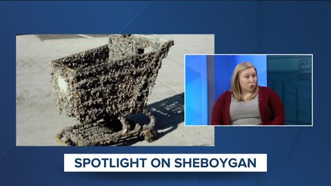 Sheboygan Spotlight: Plymouth man battles invasive mussels