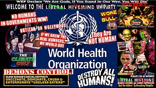 HOW THE WHO PANDEMIC TREATY COULD TRIGGER A CIVIL WAR IN 30+ DAYS