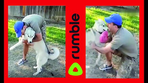 Emotional Dogs Meet Owners After A Long Time ❤️ _TRY NOT TO CRY__Trim