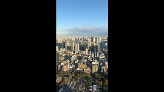 Tokyo Top Observation Tour