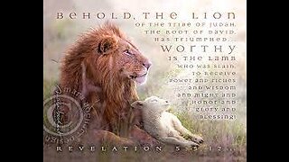 From Lamb To Lion