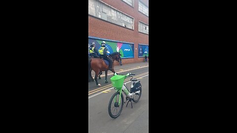 live at wembley stadium police horse