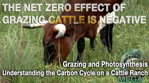[With Subtitles] THE NET ZERO EFFECT OF GRAZING CATTLE IS NEGATIVE: Grazing and Photosynthesis - Understanding the Carbon Cycle on a Cattle Ranch -- Find Many Links to Climate Documentaries Below This Video in the Description Section