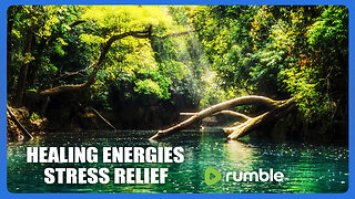 Music For Stress Relief, Relaxing Healing Music, Harmonize Your Body, Study Focus Music