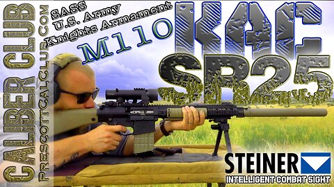 Knights Armament SR25 M110 SASS | Steiner ICS 6x40