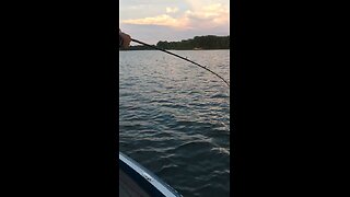 Crankbaiting Early Summer Largemouths