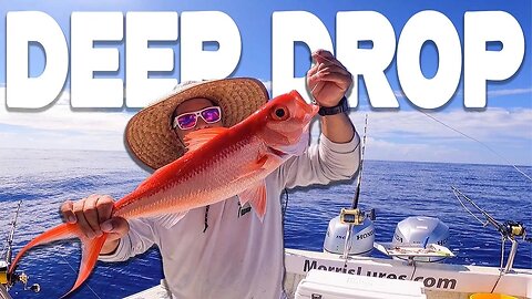 Queen Snapper Fishing 900 Feet of Water - We Made Some Money! - Catch Clean Sashimi Sell