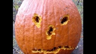 Pumpkin Carving With a Glock 23