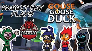 Can we find the Duck? | Goose Goose Duck | Rabbit Hat Plays