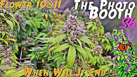 The Photo Booth S6 Ep. 14 | Flower 10 & 11 | When Will It End
