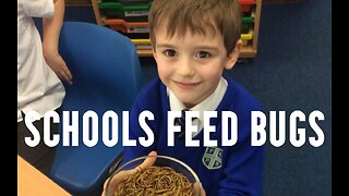 WEF - Schools Start Feeding Kids BUGS - Mealworms - Spiders - Crickets