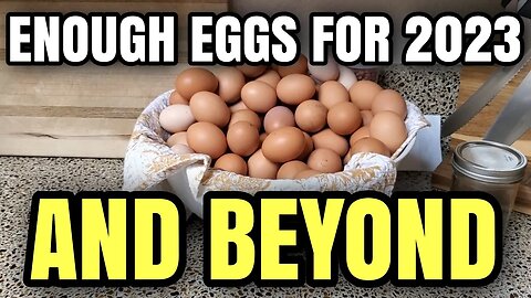 OUR PLAN for the EGG SHORTAGE in 2023...and BEYOND! #harvestrightlove