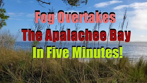 Fog overtakes the Apalachee Bay in 5 minutes