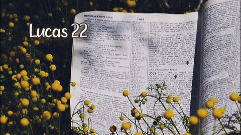 Lucas 22 {Novo testamentp}