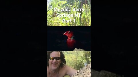 Muzduz Berry Springs Part #1 #australia #nature #relaxing #musician