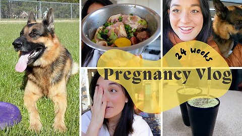 *SECOND TRIMESTER* VLOG Weekend around Charlotte, Organic Farmers Market, Productive, Slow, Weekend!
