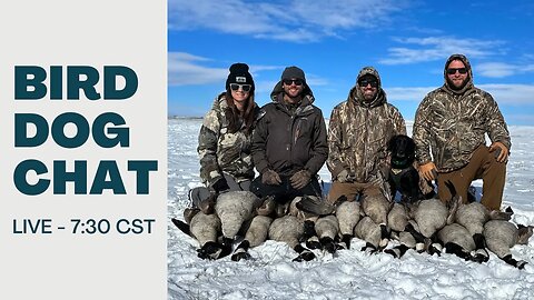 Hunting Season, Upcoming Events & Exciting News - Bird Dog Chat With Ethan And Kat