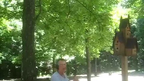 Shotgun Tree Trimming