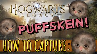 ⚡Where to Find and Capture the Puffskein in Hogwarts Legacy⚡