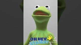 Kermit the Frog loves Bad Boi TraGiC 🐸