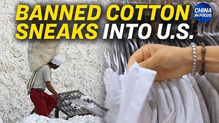 Banned Cotton Found in One-Fifth of US, Global Stores